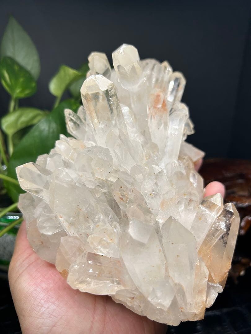 スター大物‼️【爆レア‼️　聖美‼️ 結晶‼️】マニカラン産ヒマラヤ水晶クラスター