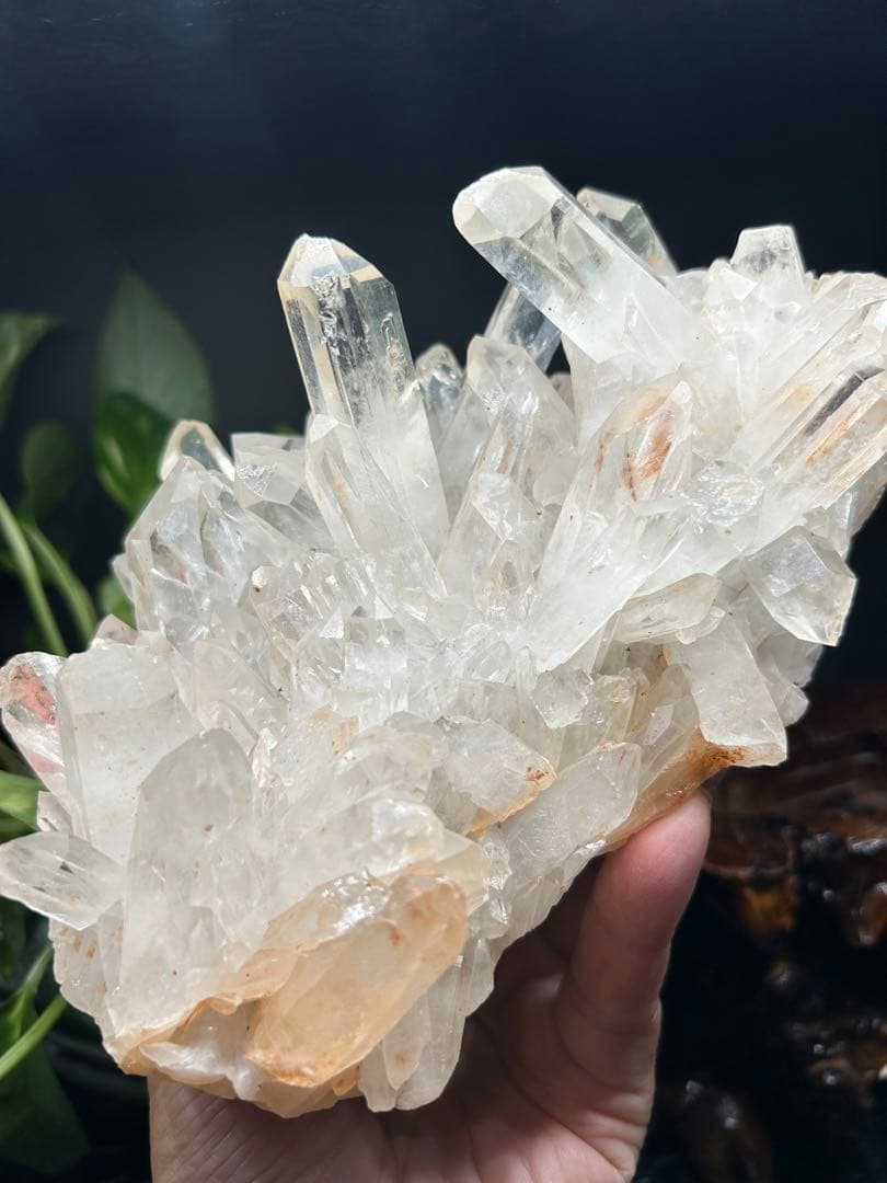 スター大物‼️【爆レア‼️　聖美‼️ 結晶‼️】マニカラン産ヒマラヤ水晶クラスター