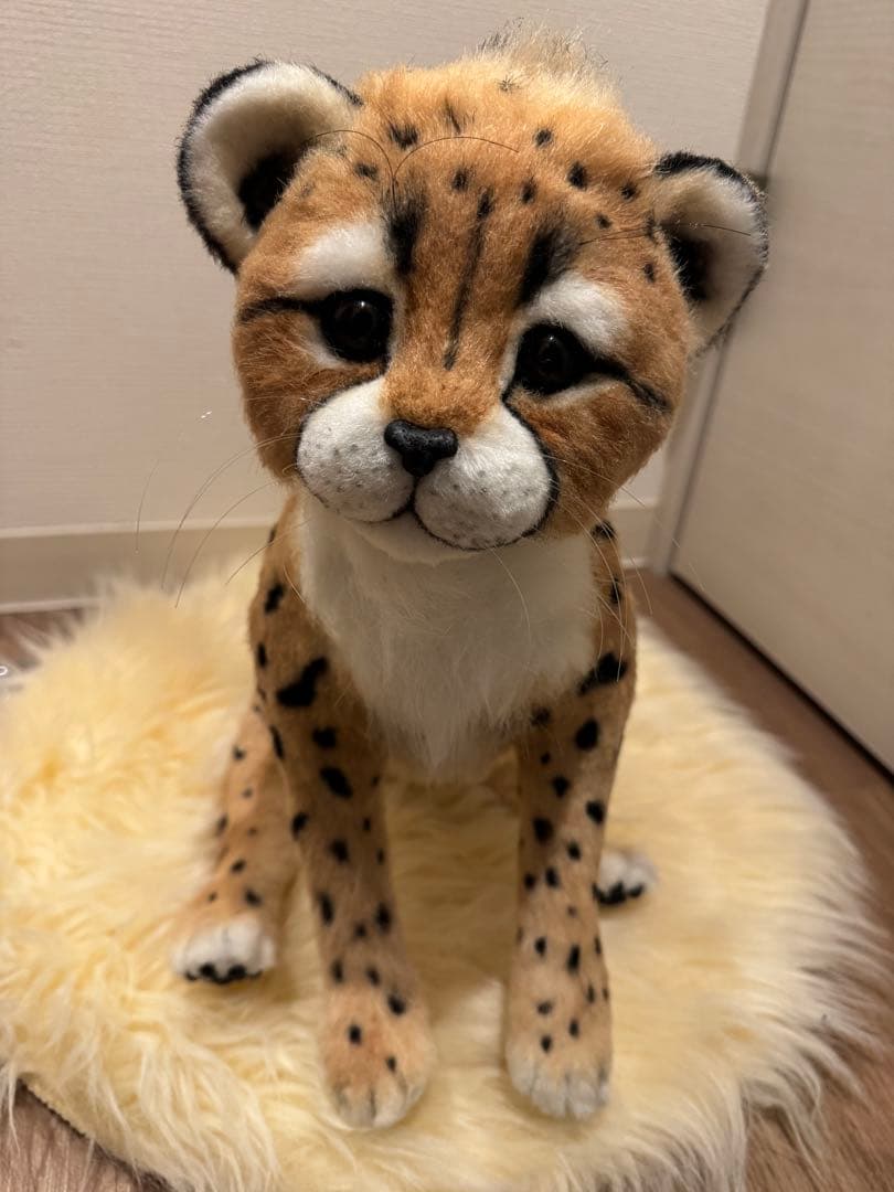 海外作家様作　アートドール　チーターの子供