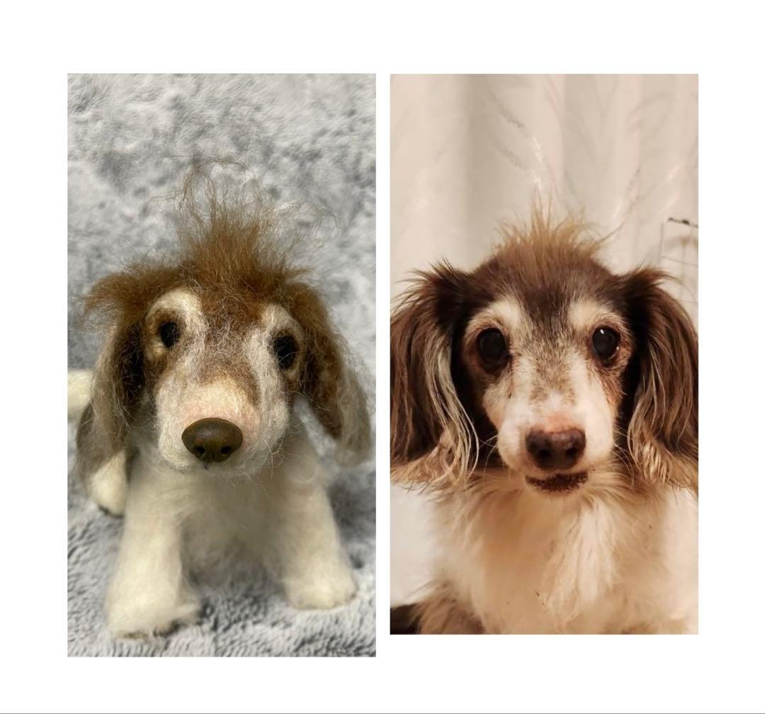 羊毛フェルト ダックスフンド（オーダー品）大切な家族を羊毛フェルトで再現します❣️