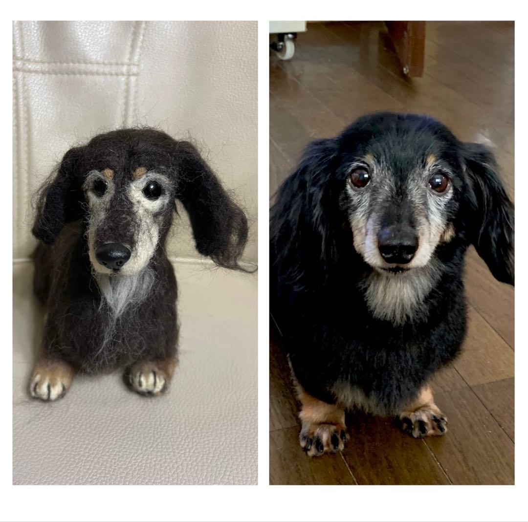 羊毛フェルト ダックスフンド（オーダー品）大切な家族を羊毛フェルトで再現します❣️