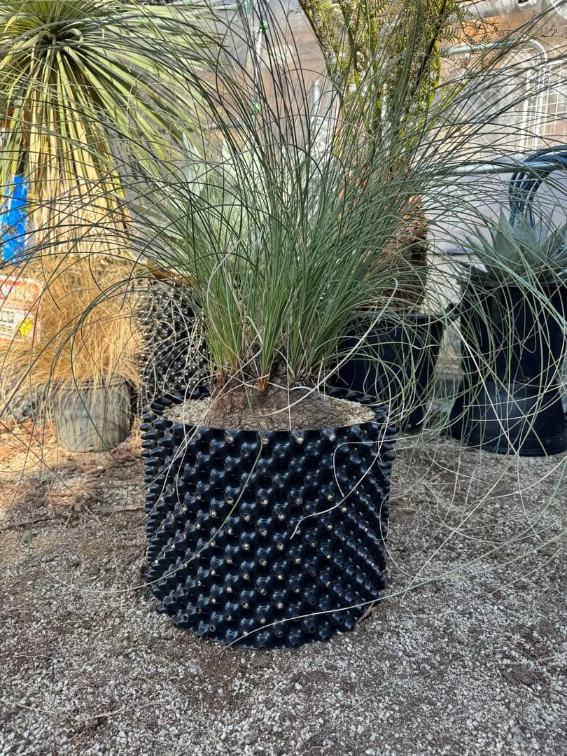 カリバナスフーケリー