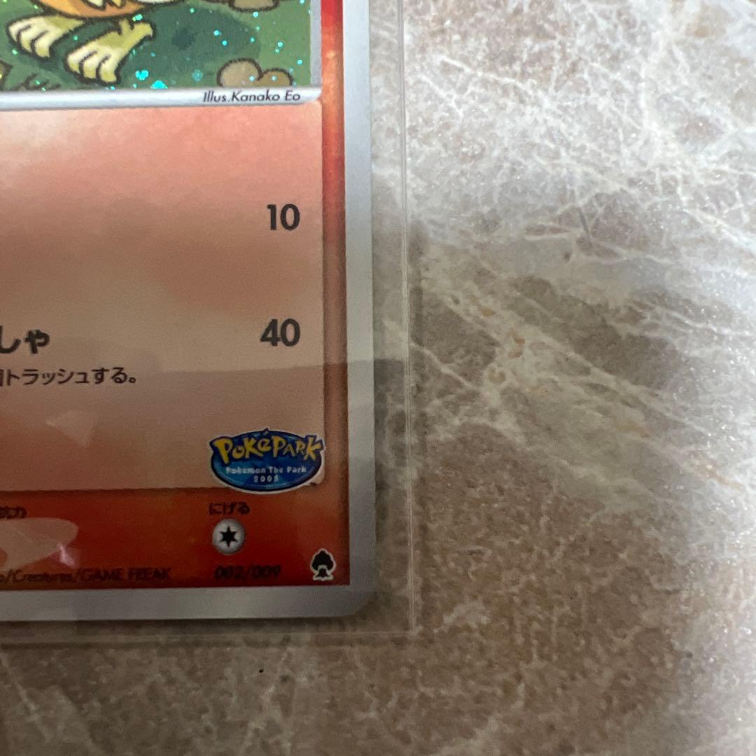 ポケパークのアチャモ HP60 009/100