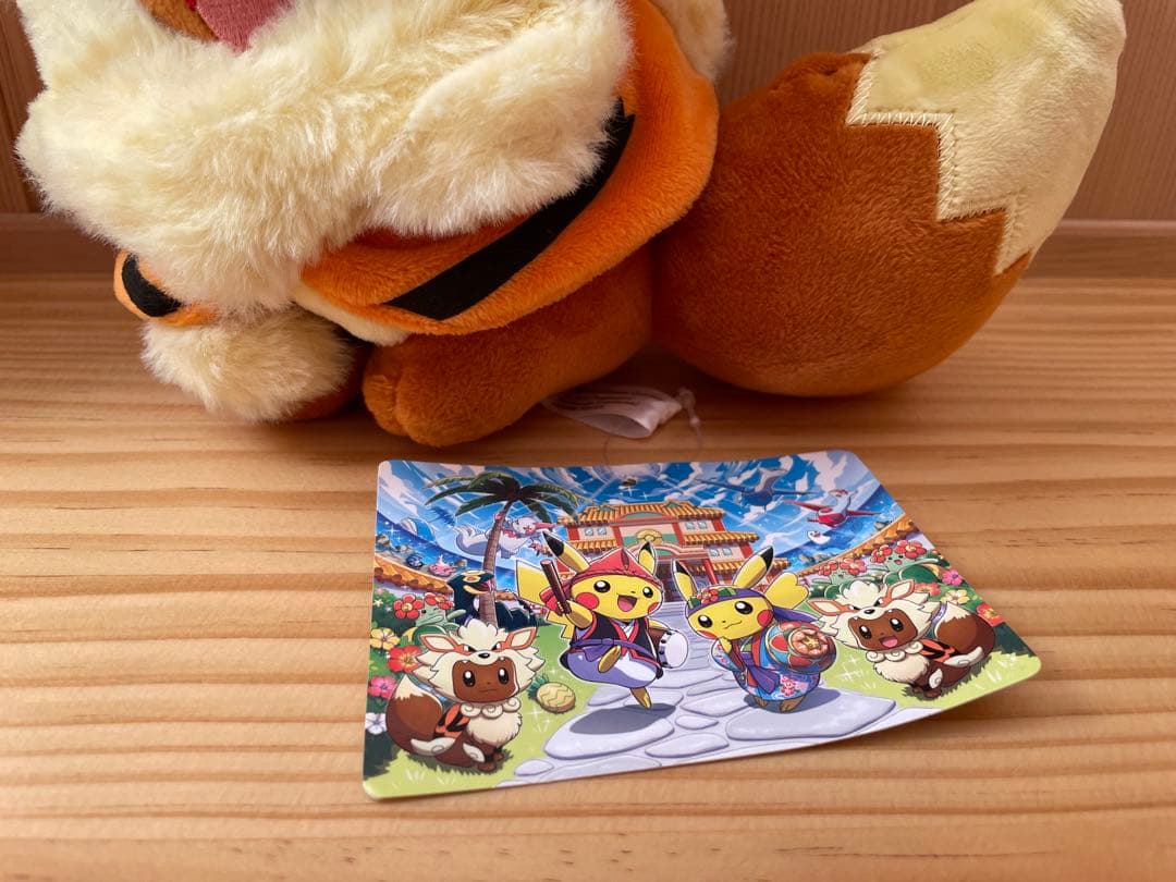 【希少】ポケセン沖縄限定 ウインディポンチョのイーブイ ぬいぐるみ 2体タグ付き