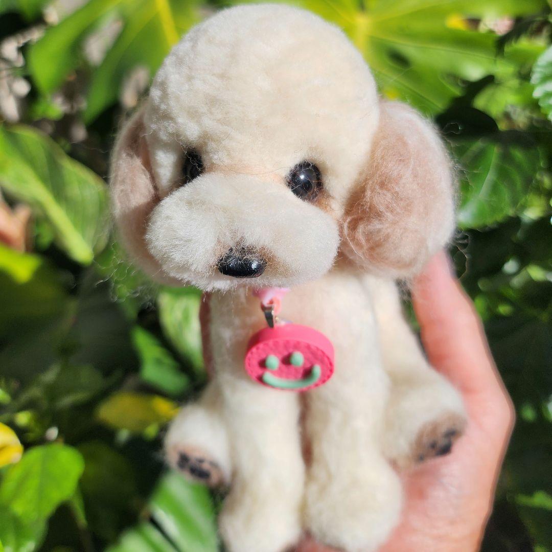 トイプードル❤️ハンドメイド❤️　　　　　　　　　　　　　　　お迎え決まりました