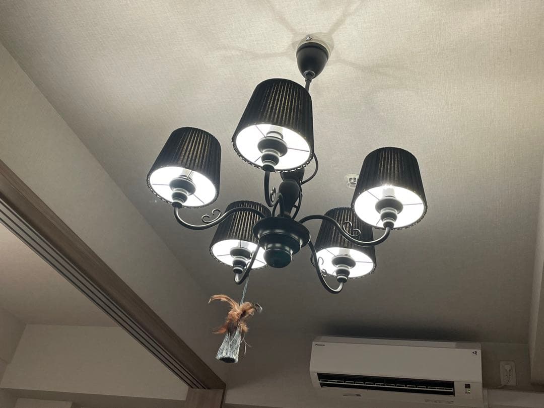 Francfranc 黒いシャンデリア 5灯 タッセル付き