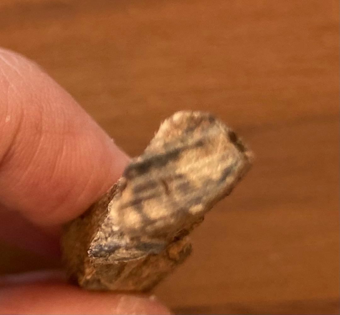 香木　沈香　青タニ　4グラム