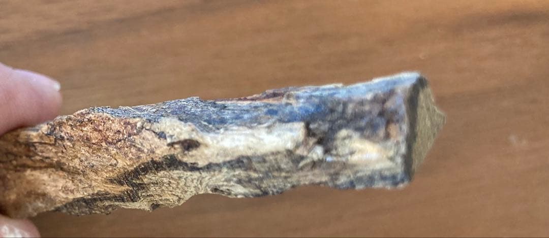 香木　沈香　青タニ　4グラム