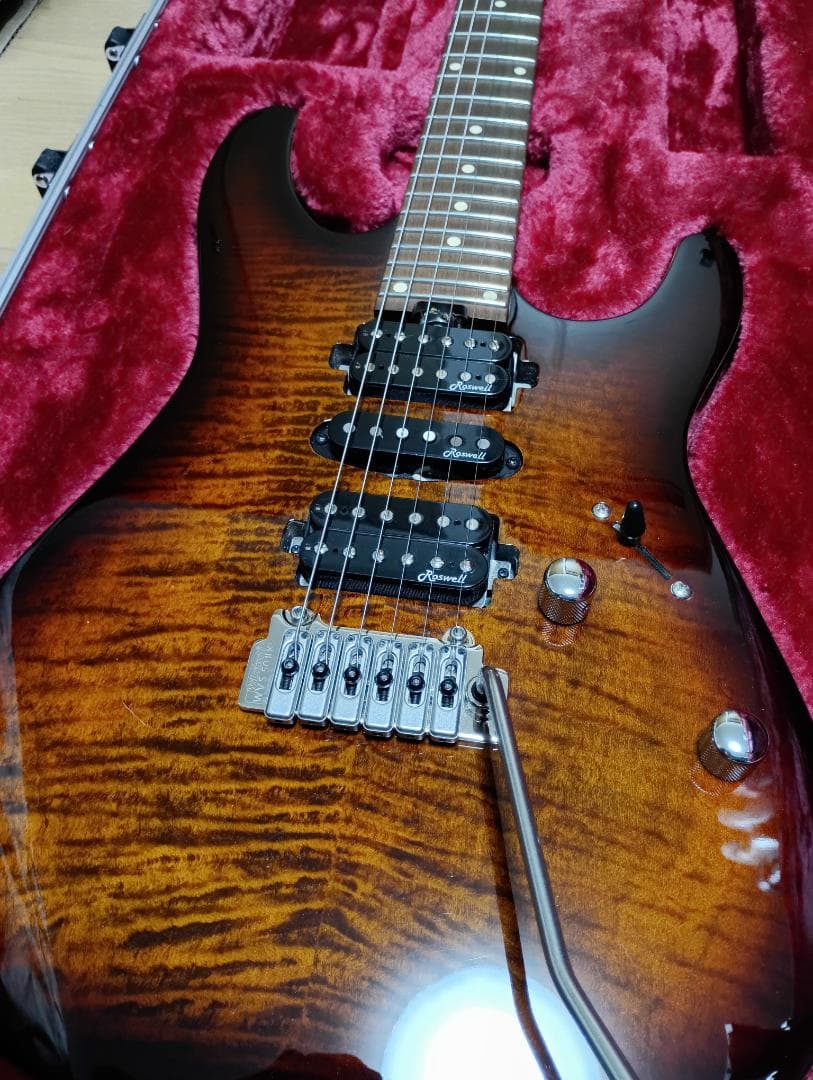 ギター Harley Benton Fusion-III HSH Roasted