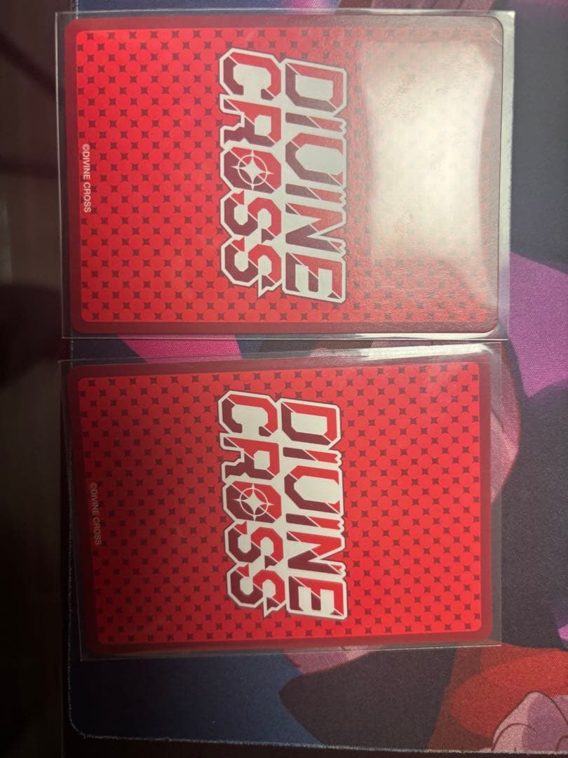 DIVINE 廃村少女 SEC 2枚セット Partner