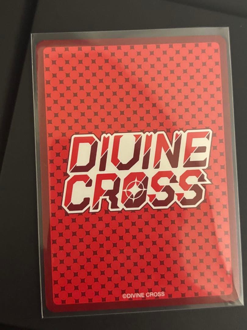 DIVINE 廃村少女 SEC 2枚セット Partner