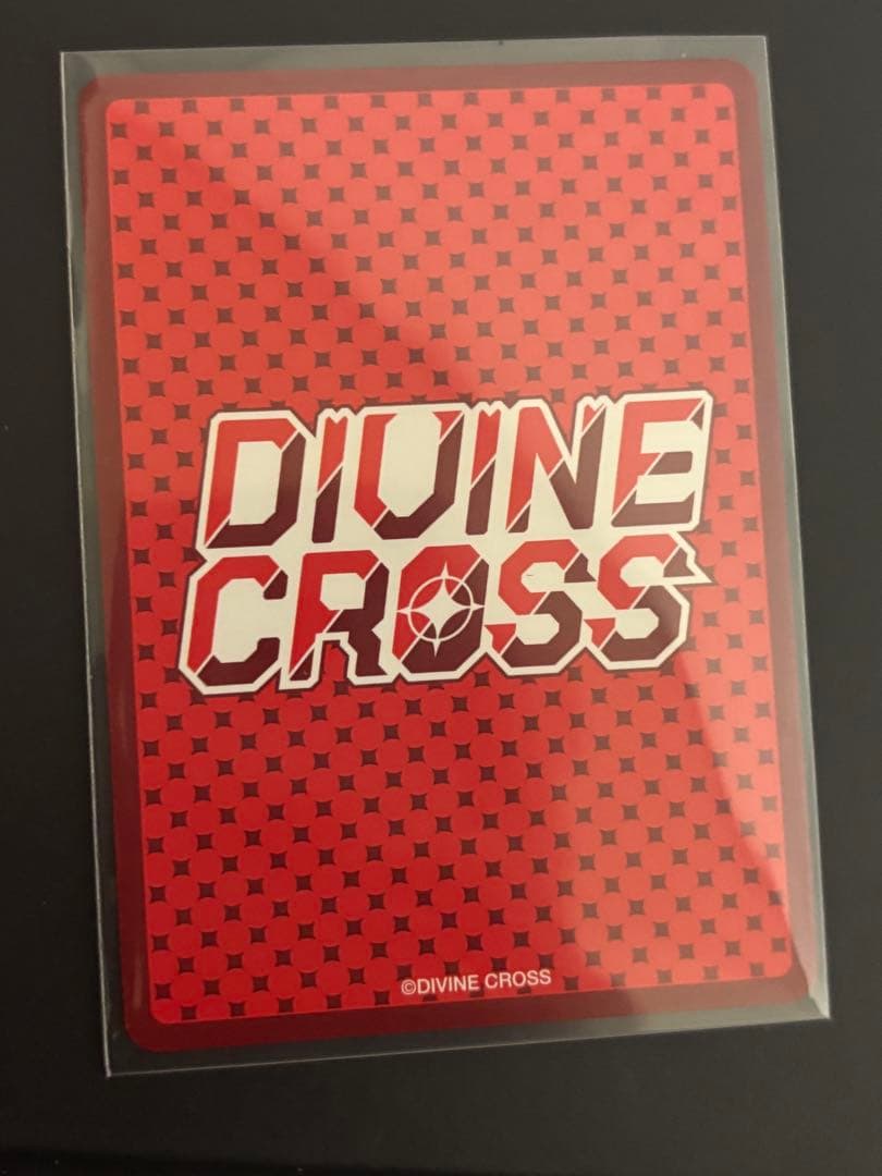 DIVINE 廃村少女 SEC 2枚セット Partner