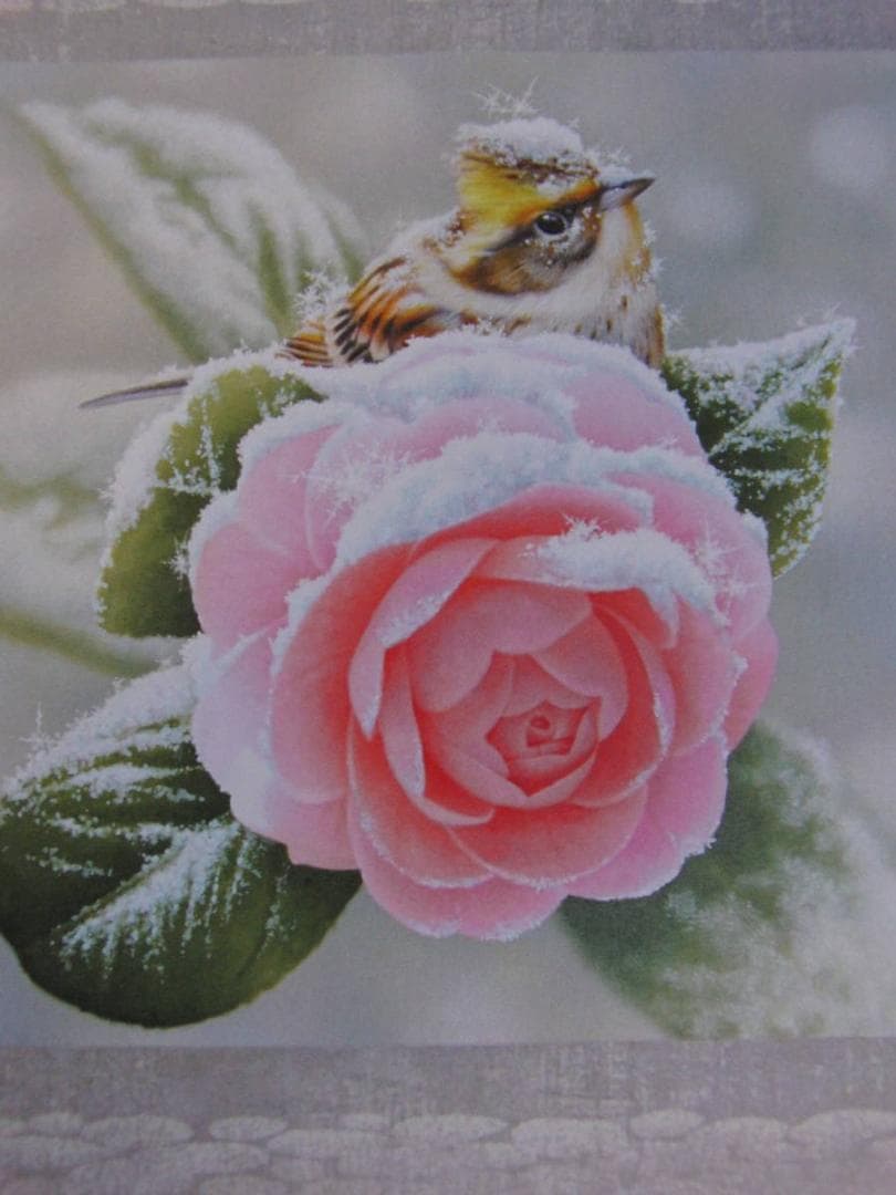 山地司、【乙女椿とミヤマホオジロ】、希少な額装用画集より、状態良好、新品額装付