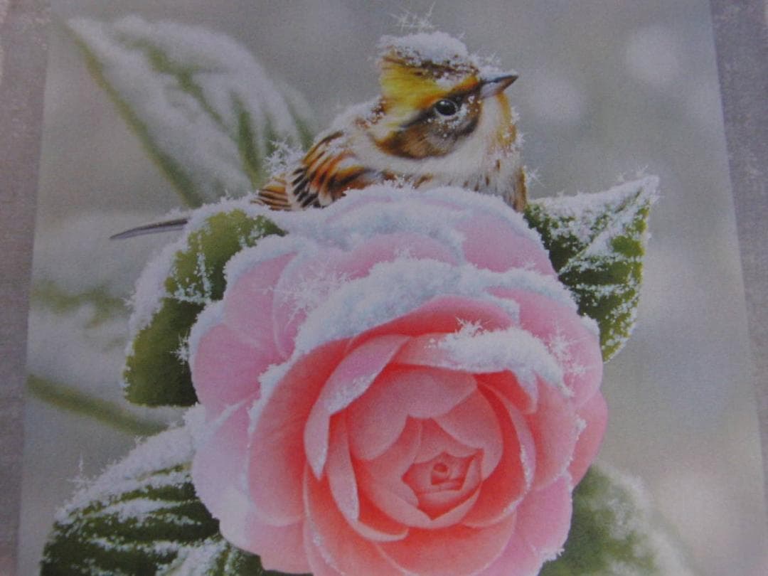 山地司、【乙女椿とミヤマホオジロ】、希少な額装用画集より、状態良好、新品額装付