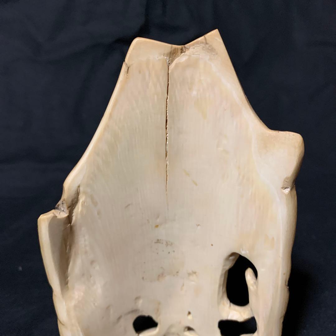 マンモスの牙にマンモスの彫刻 古美術 年代物