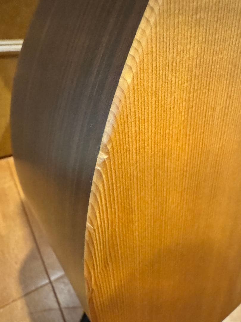 Martin GPCX1RAE マーチン エレアコ 純正ハードケース付 - メルカリ