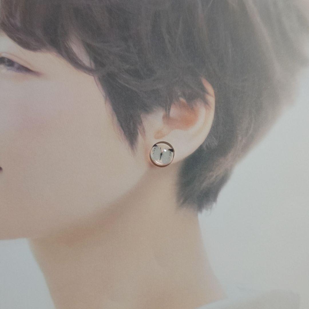 【1133】蝶々のピアス／イヤリング