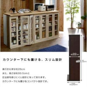 ❤驚愕の大収納力❣シックで落ち着いた高級感溢れるレトロデザイン♪❤キャビネット