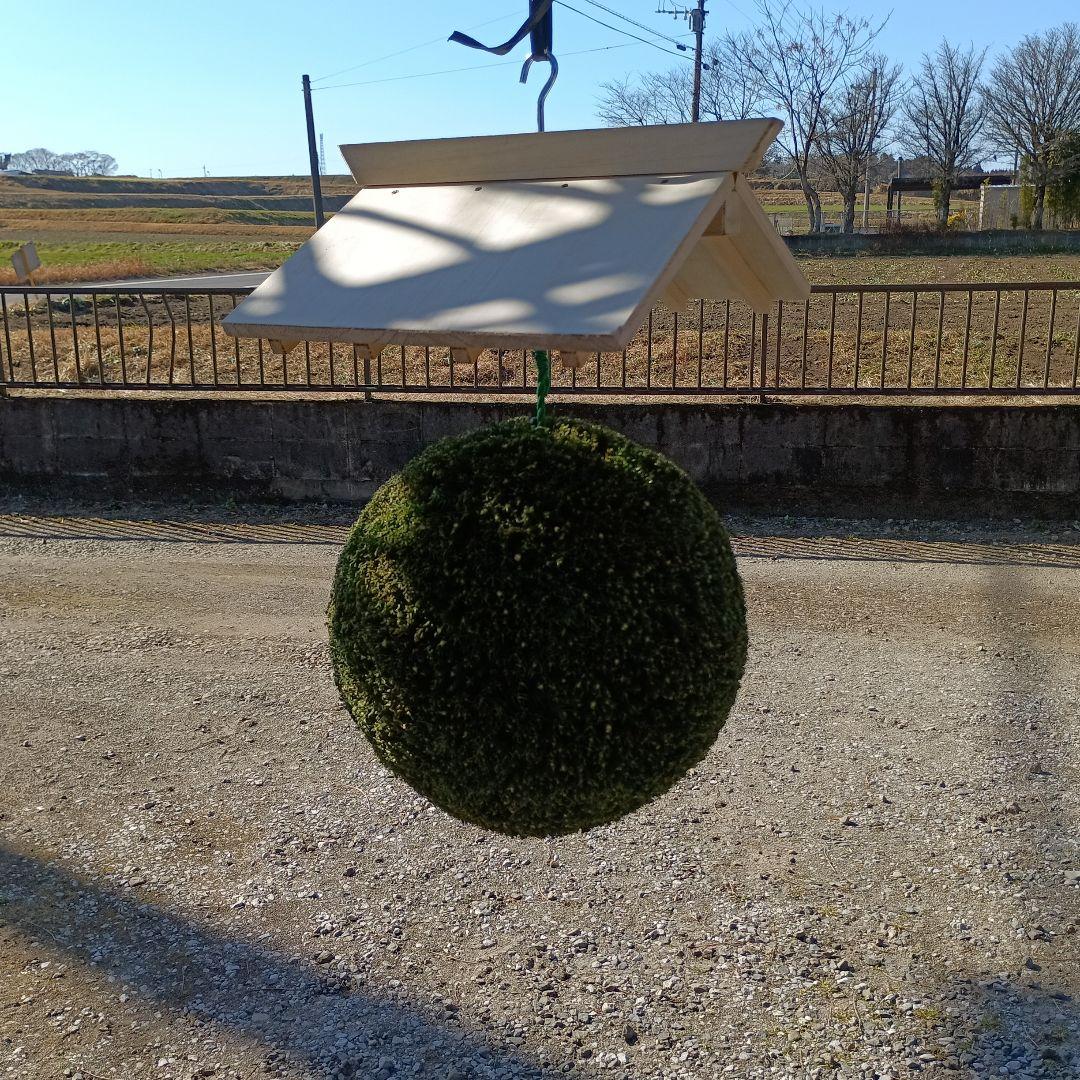 杉玉 直径約35cm 屋根付き - メルカリ