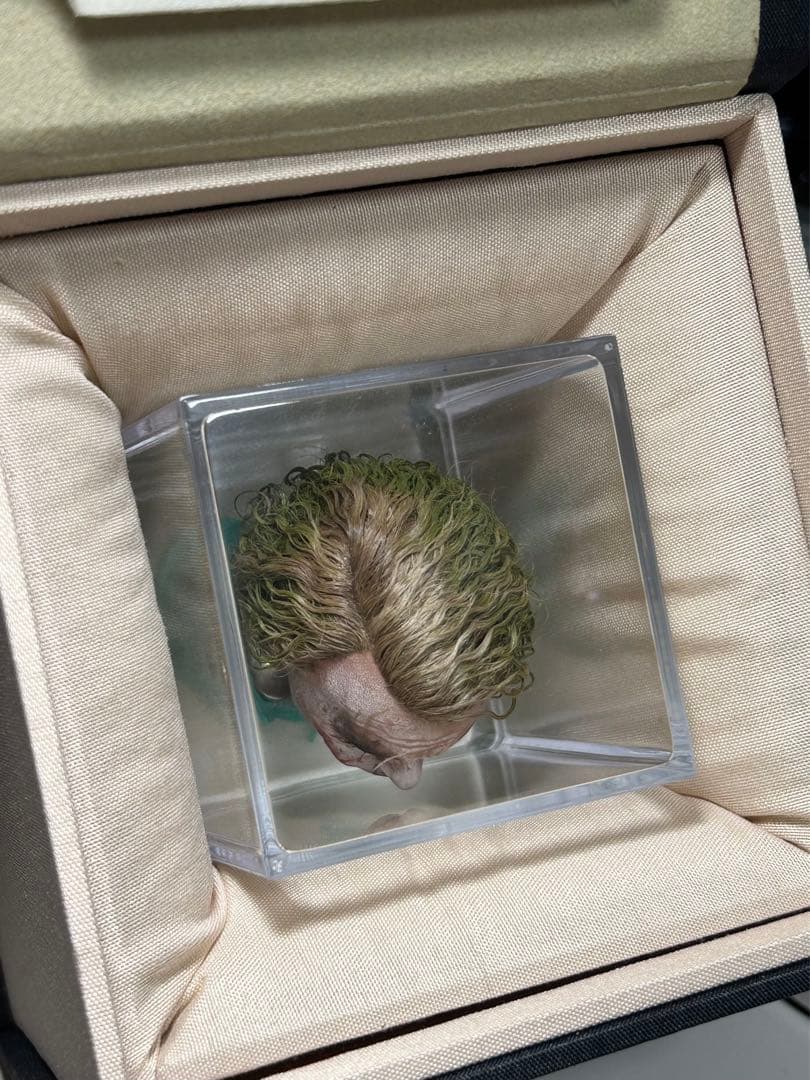 1/6 カスタム植毛ヘッド ダークナイト ジョーカー 審問2.0Ver. - メルカリ