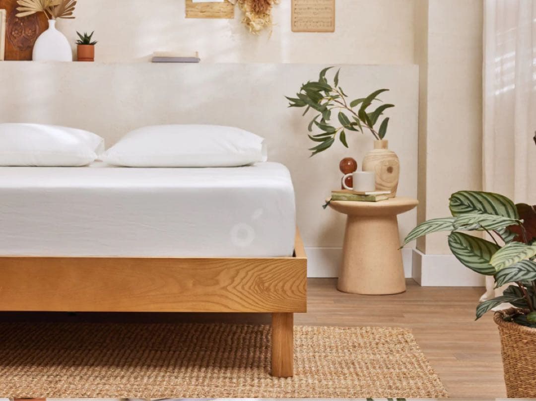 koala オーガニックコットン ボックスシーツ