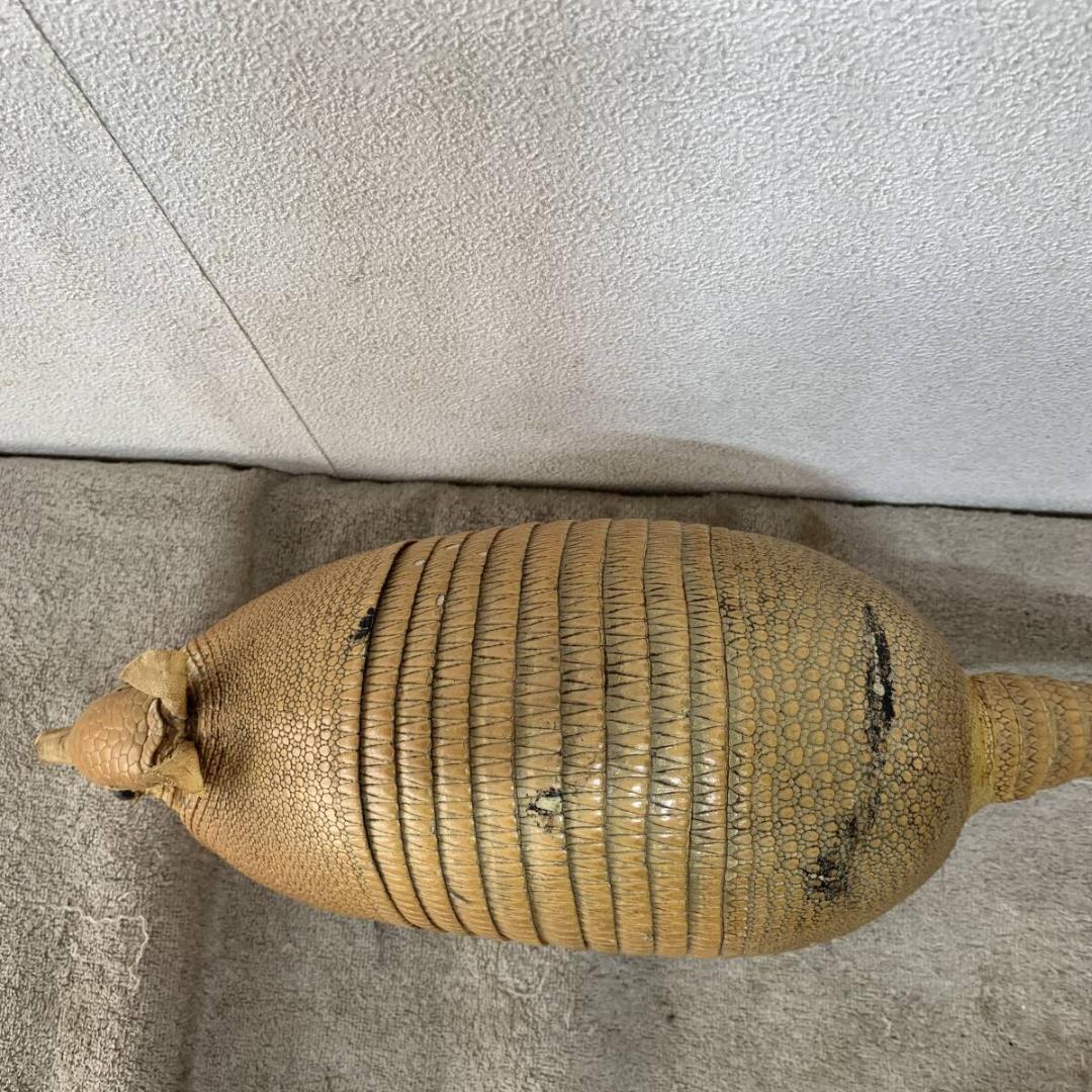 希少！ アルマジロ 剥製 希少動物 珍品 XZ4035 - メルカリ