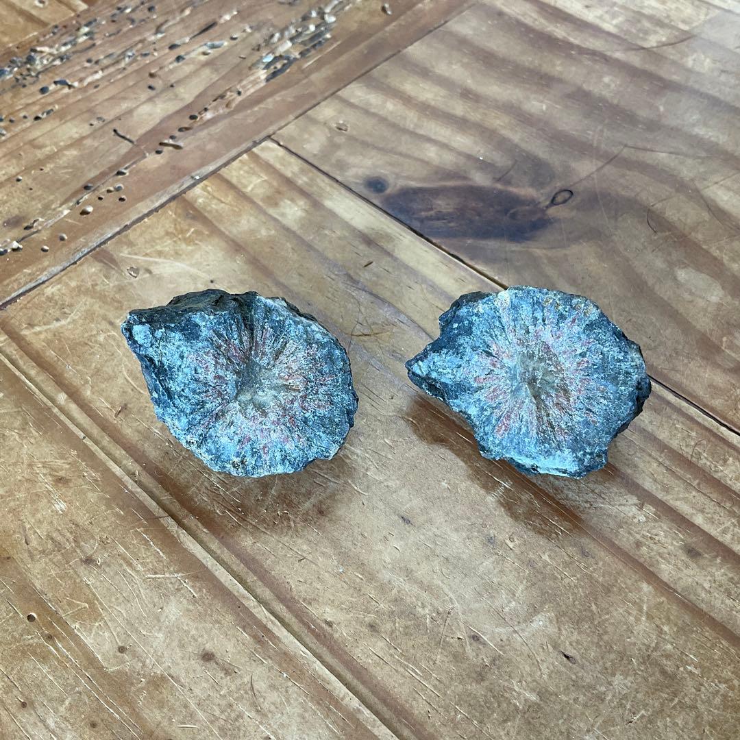 【ペア】【対】菊花石　C76