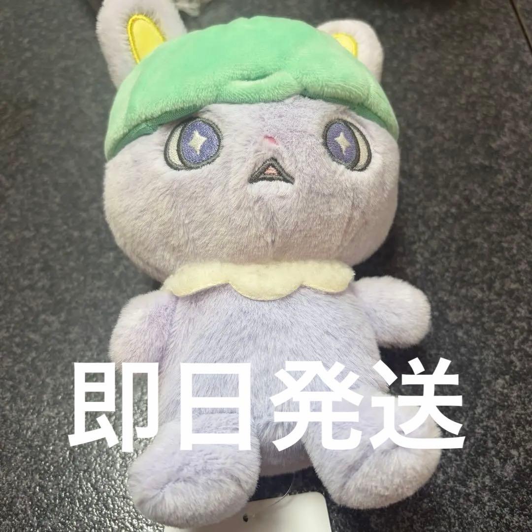 JOCHUM ジェオチャム ふわくた ぬいぐるみ JO1 ちまた 木全 翔也