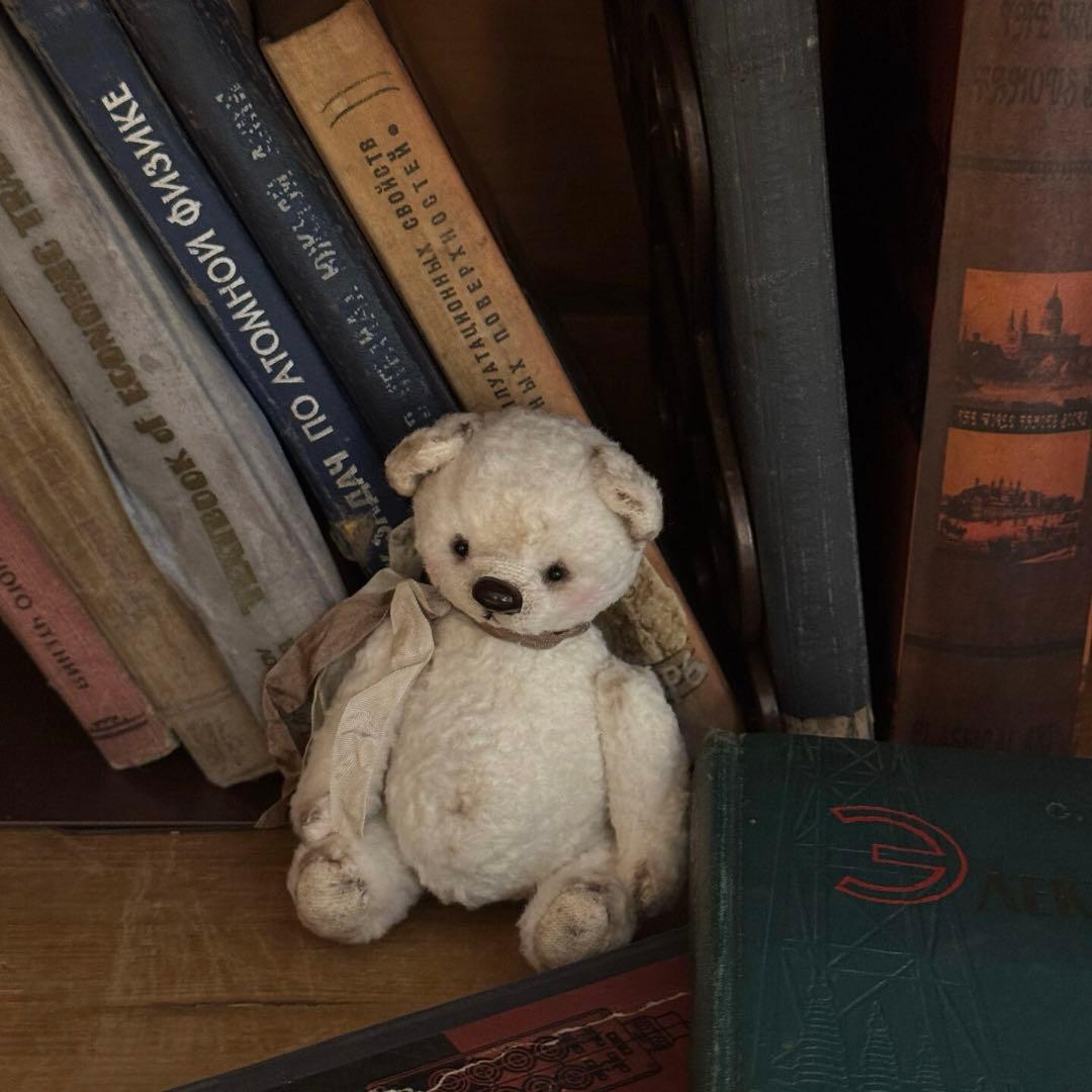 隅っこで待ち続ける白熊 アーティストベア 海外作家様 ぬいぐるみ テディベア
