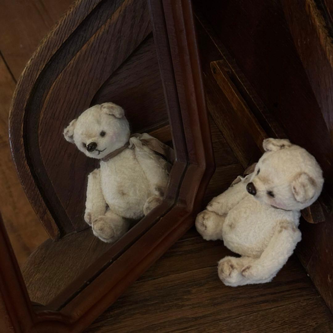 隅っこで待ち続ける白熊 アーティストベア 海外作家様 ぬいぐるみ テディベア