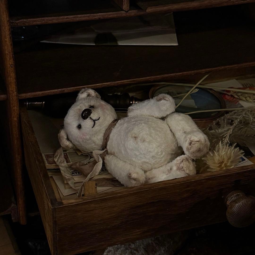 隅っこで待ち続ける白熊 アーティストベア 海外作家様 ぬいぐるみ テディベア