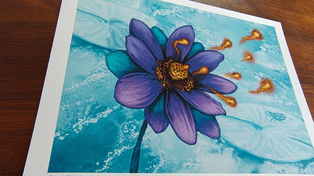 アートプリント　睡蓮の花　Lotus Bloom MTG　複製原画