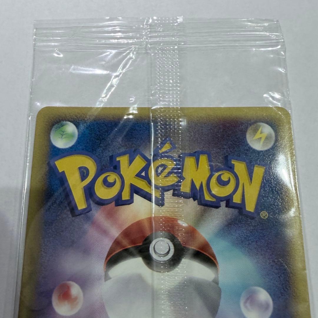 ポケモンカード ポケパークのゴンベ PROMO 040/PCG-P プロモ