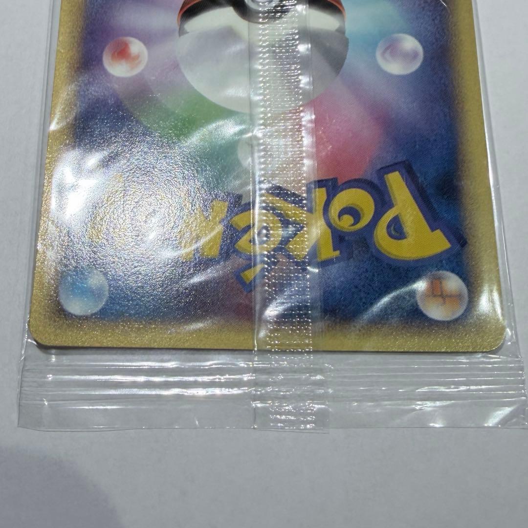 ポケモンカード ポケパークのゴンベ PROMO 040/PCG-P プロモ