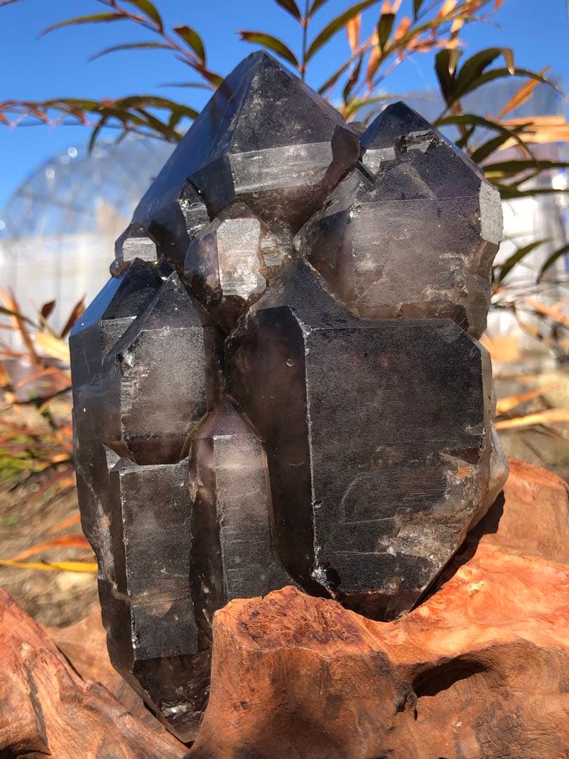 ❤️❗️超レア 2.7Kg 極上 城　鰐水晶　骸骨水晶 エレスチャルクォーツ