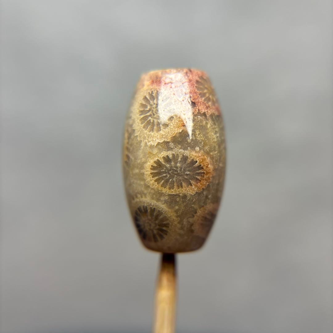 ユッキーフォッシルコーラル　天珠　1-287