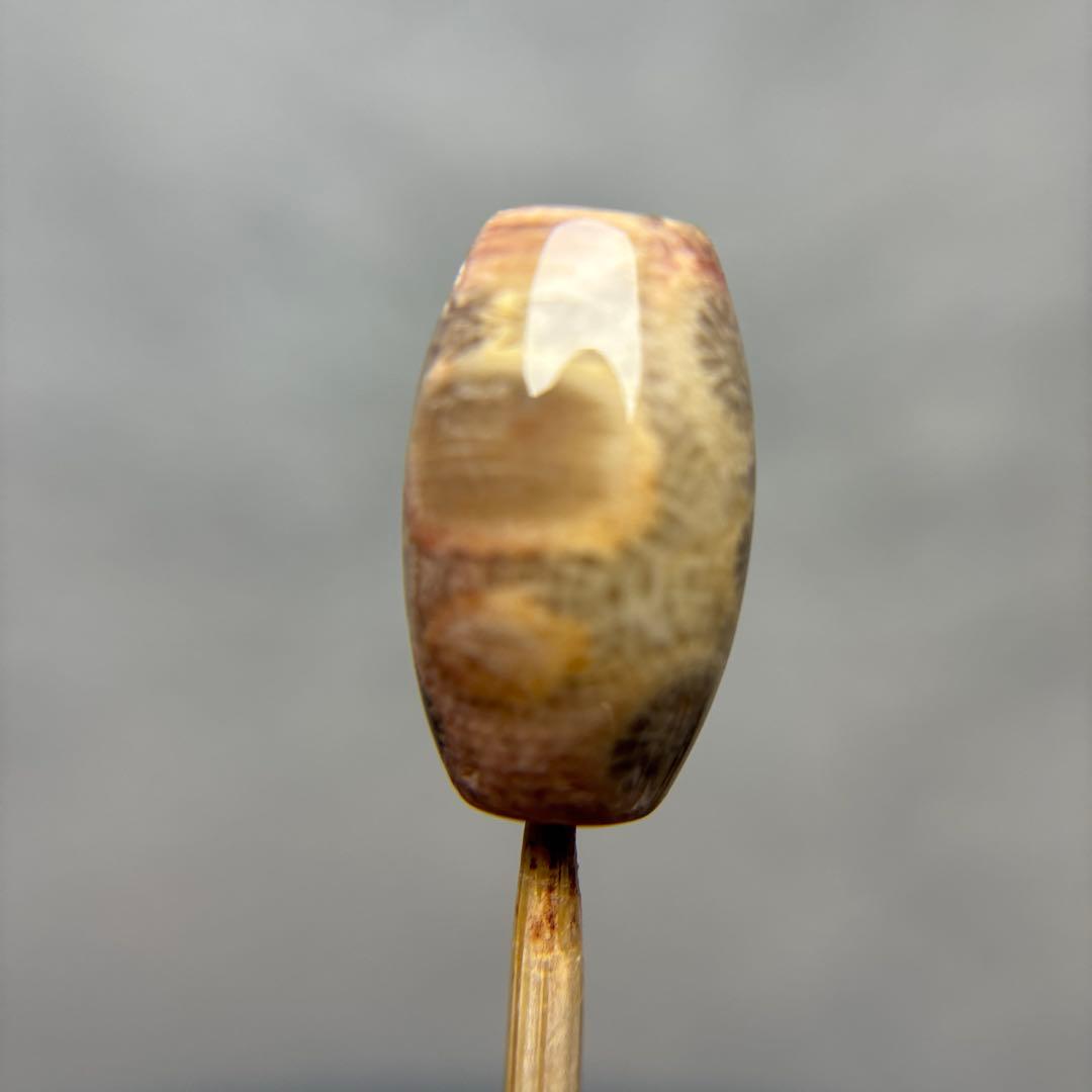 ユッキーフォッシルコーラル　天珠　1-287