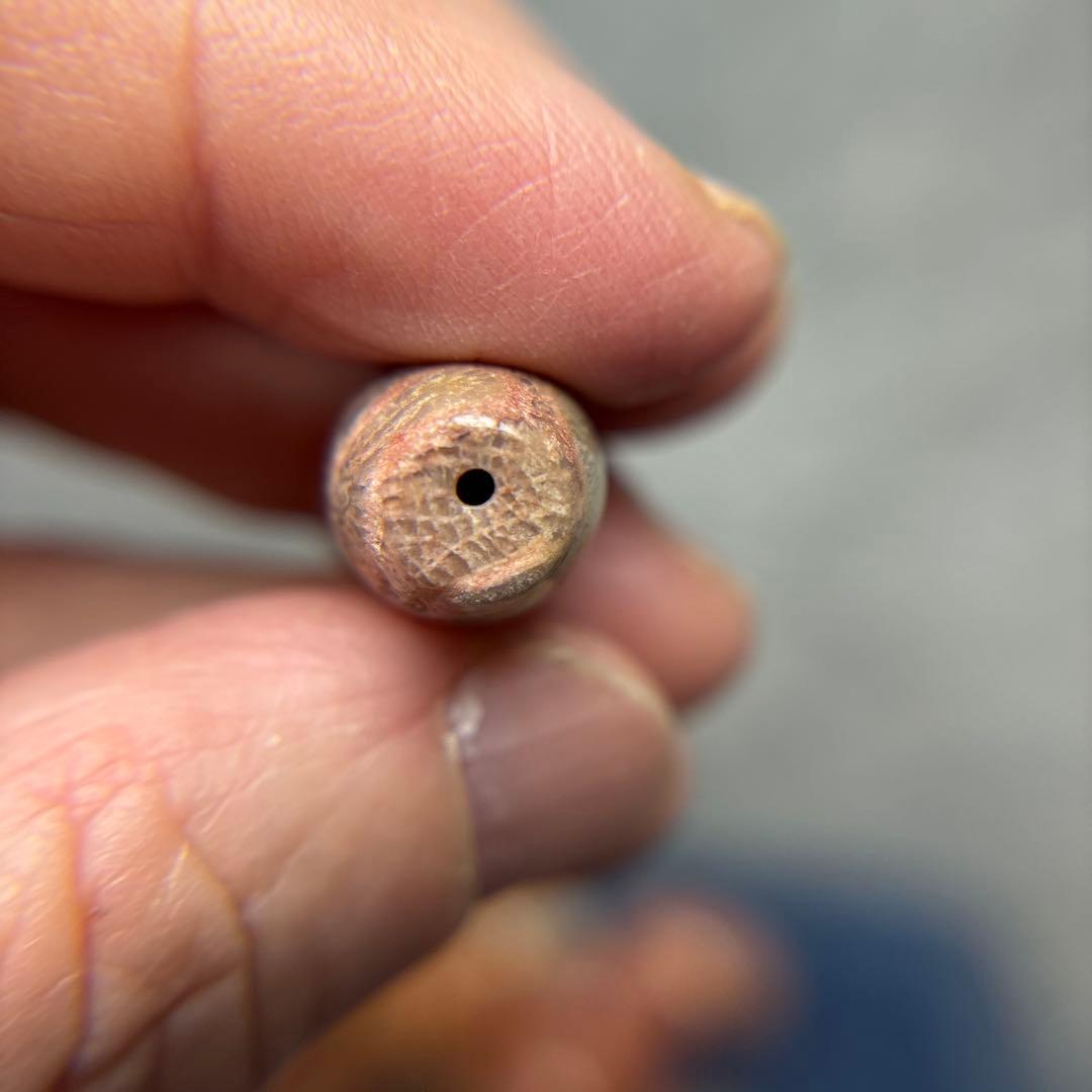 ユッキーフォッシルコーラル　天珠　1-287