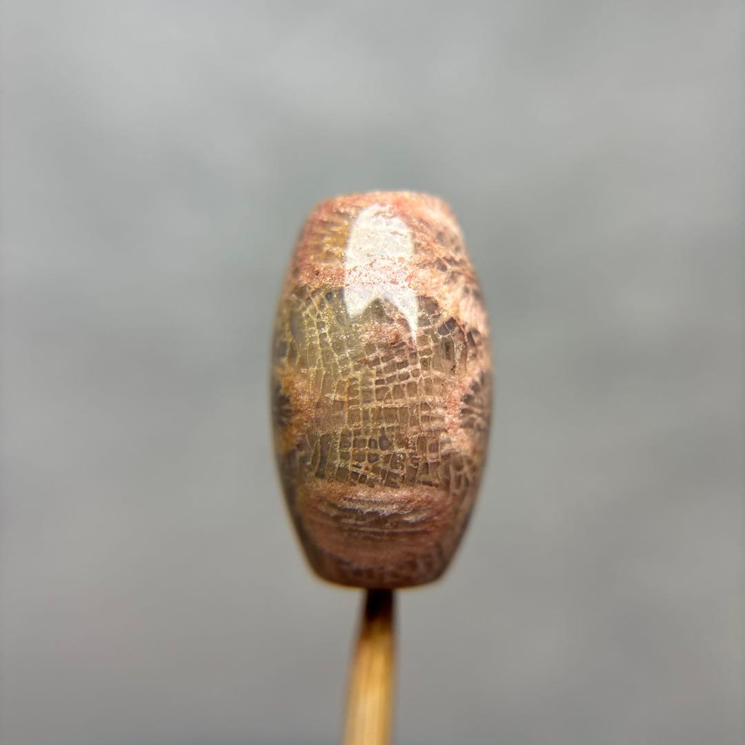 ユッキーフォッシルコーラル　天珠　1-287