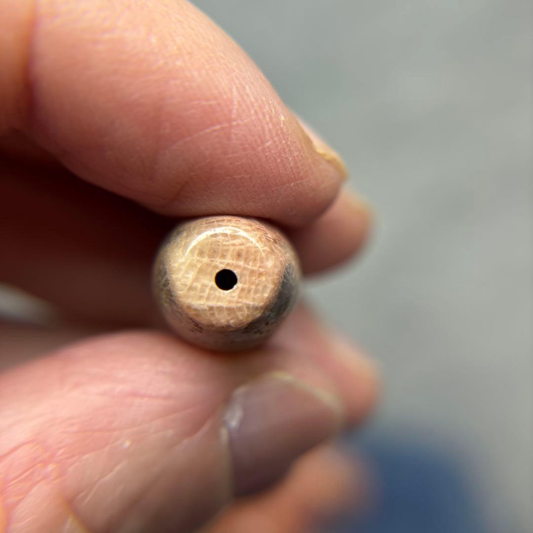 ユッキーフォッシルコーラル　天珠　1-287