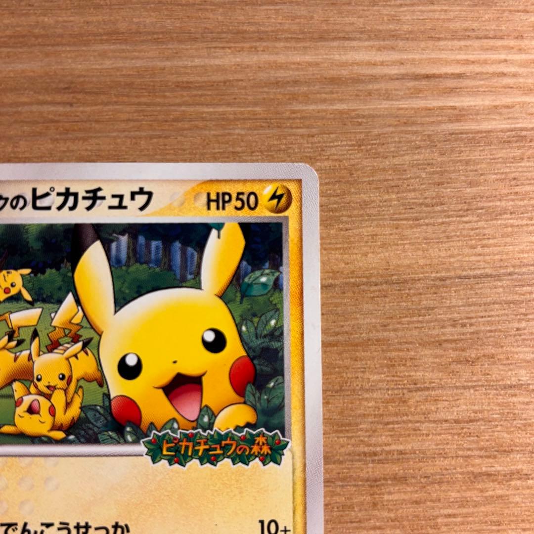 ポケパークのピカチュウ プロモカード 043/PCG-P 限定品ポケモンパーク