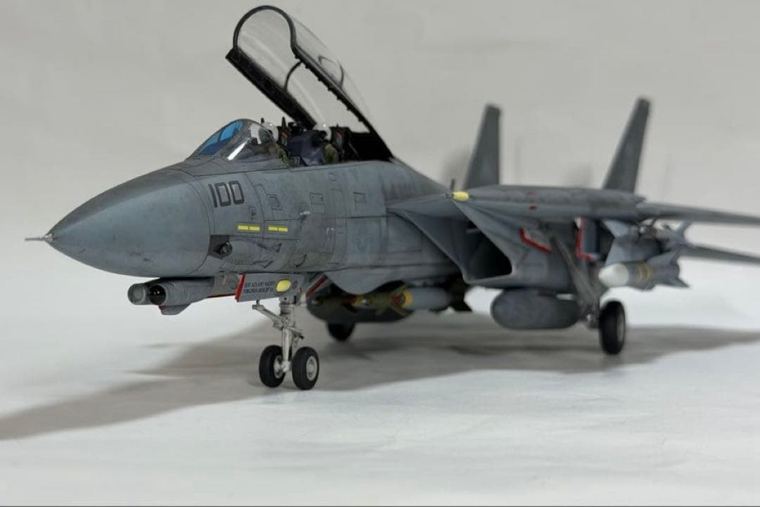 タミヤ 1/48 ジョリーロジャース仕様F-14D トムキャット 完成品 - メルカリ