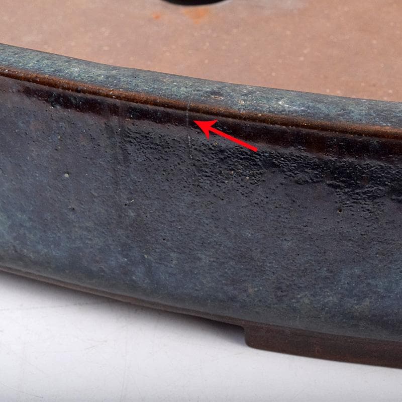 中国 清源豊國製造 紫砂 朱泥 海鼠釉 楕円盆栽鉢 植木鉢 M R8987B