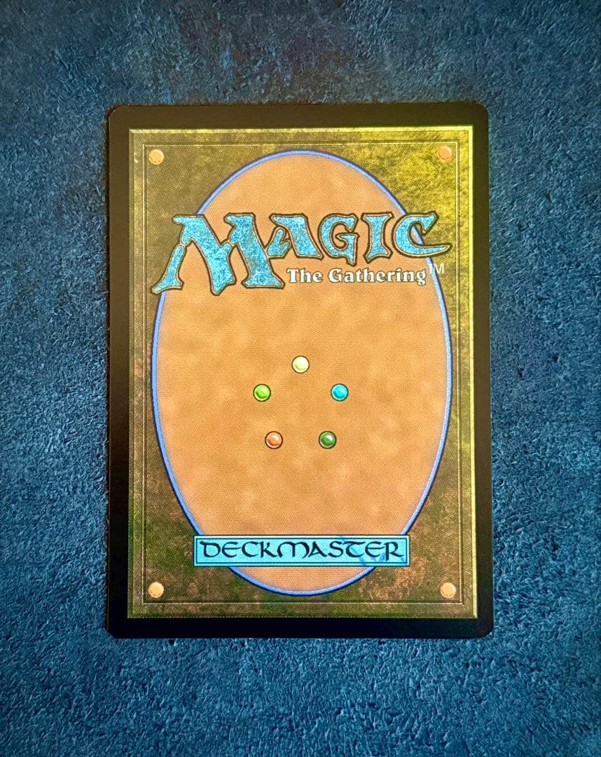 《絞り取る徴税人、レヴ》黒R (045) JP