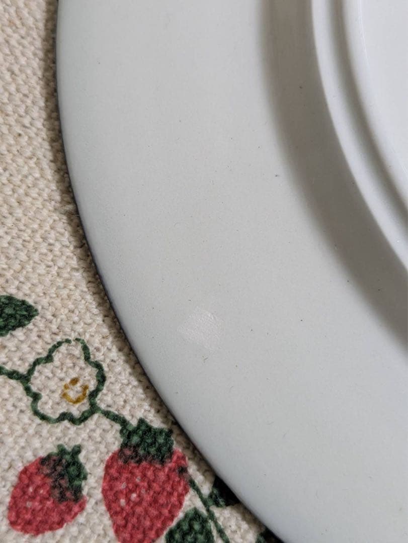 アラビア PAJU プレート 19.5cm プレート 2枚セット 北欧