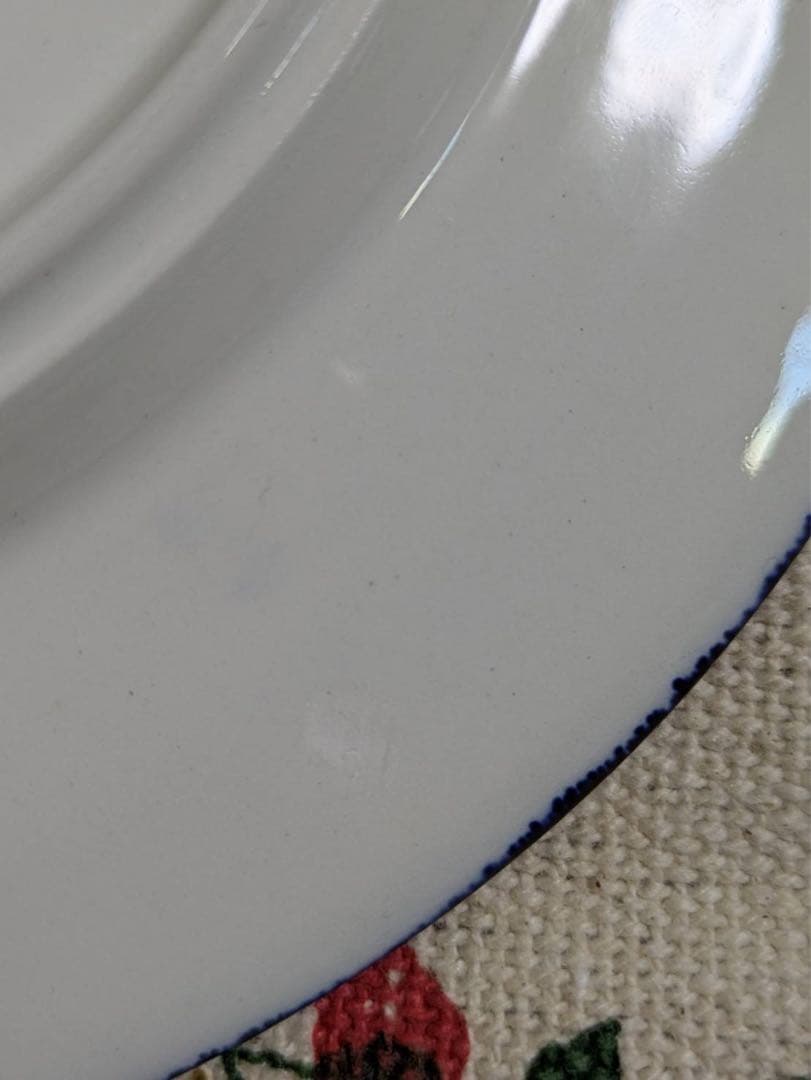 アラビア PAJU プレート 19.5cm プレート 2枚セット 北欧