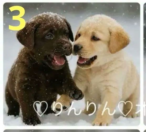 ご確認用　りんりん様パネル　ハンドメイド　11/29