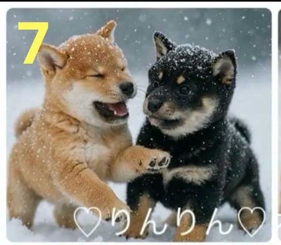 ご確認用　りんりん様パネル　ハンドメイド　11/29