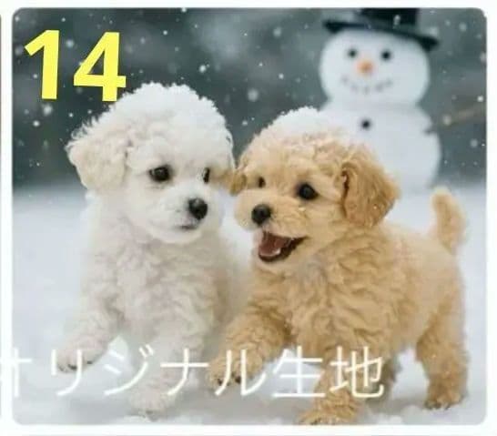 ご確認用　りんりん様パネル　ハンドメイド　11/29