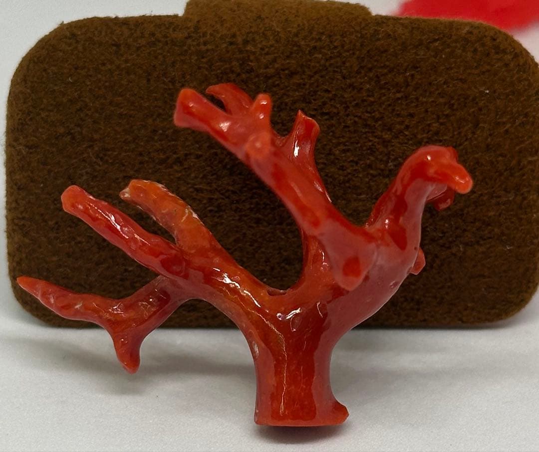 10276天然珊瑚原木の置き物、又は穴あるからアクセサリーにも最適